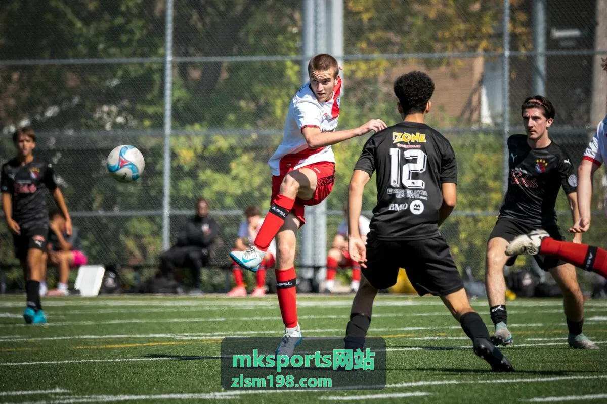 mksports网站球队数据统计面板截图